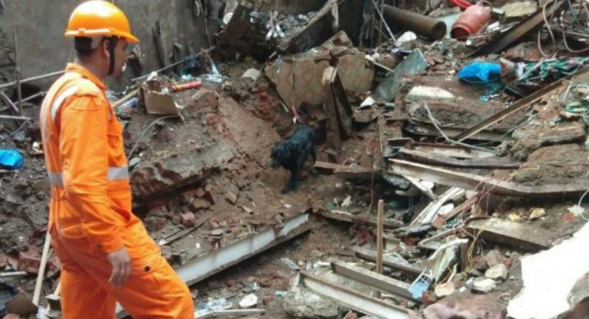 Death toll in Mumbai building collapse rises to 14
