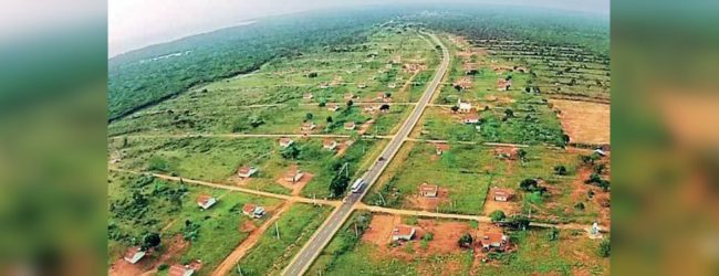 No more approvals to clear land in Kalaru – DG Forest Conservation