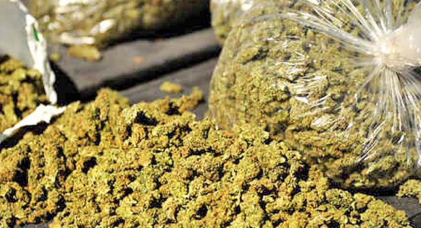 Navy seize 1.5 kg of Cannabis
