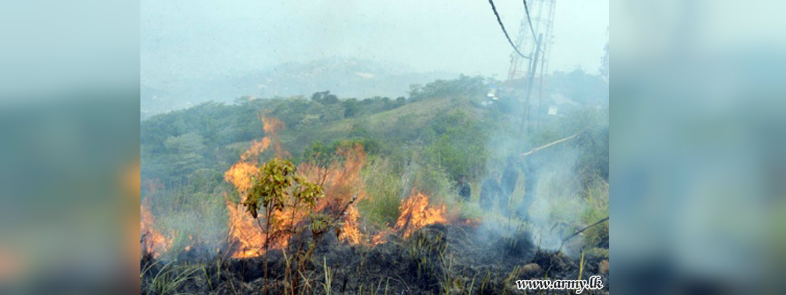 Increase in bush fires in Monaragala and Badulla due to arson