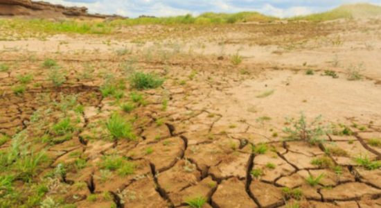 550,000 still severely affected by dry weather