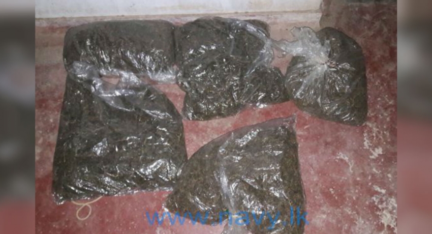 Two nabbed with 9.59 kilos of KG