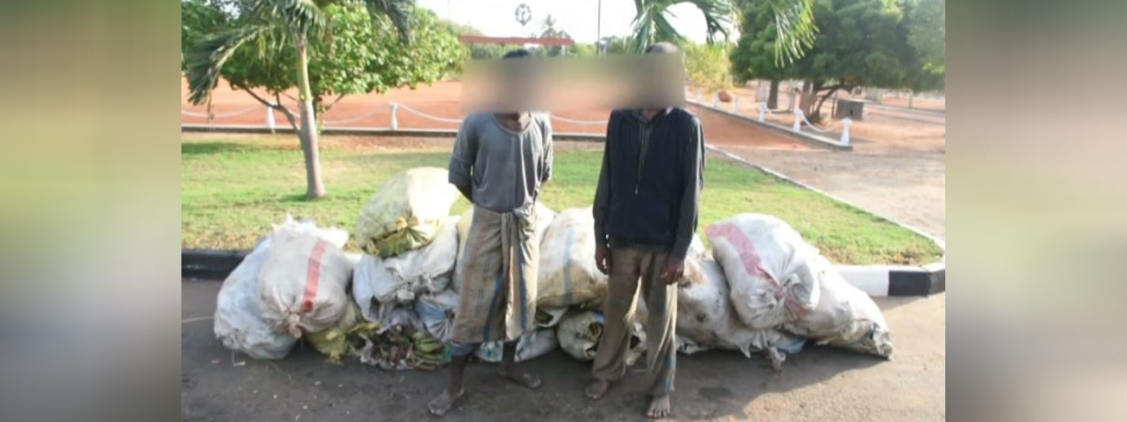 Suspects arrested with 618kg of Aloe vera