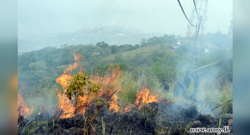 Increase in bush fires in Monaragala and Badulla due to arson