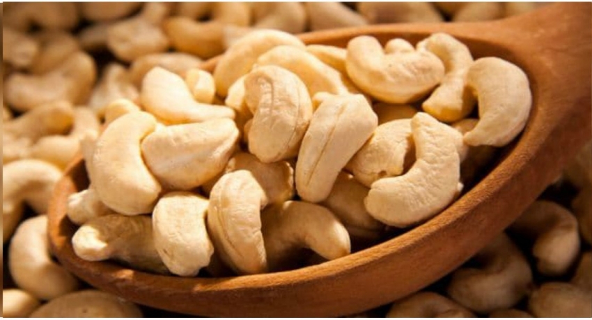Permits for cashew import stopped