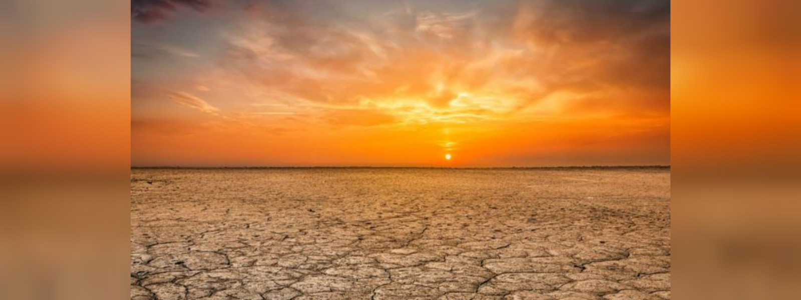 Earth experiences hottest June on record: WMO