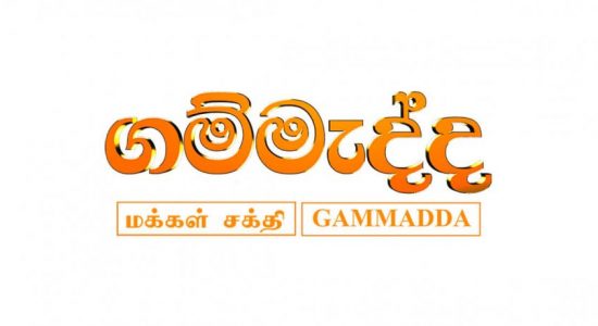 Gammadda discovers a playground which once used to be a wewa