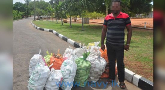Man arrested with 3212 conch shells in Mannar