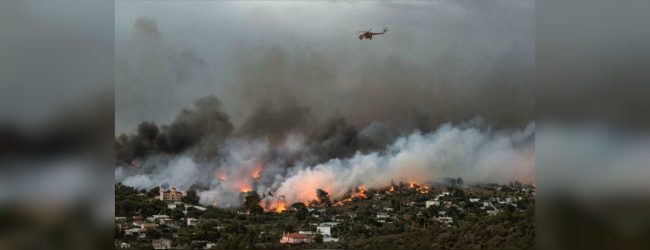 Wildfires force evacuations in Sardinia