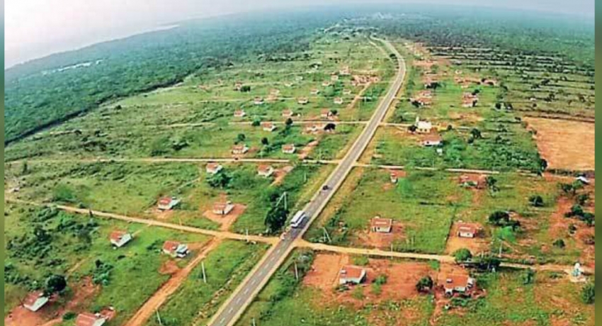 No more approvals to clear land in Kalaru – DG Forest Conservation