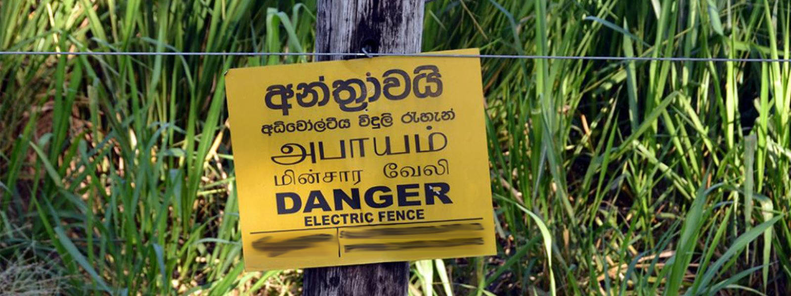 Investigations reveal main cause for electric fence breakdown