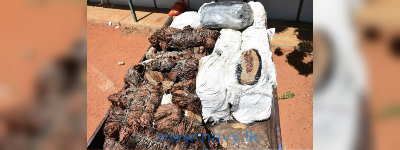 Over 2000 kg of beedi leaves seized in Navy raids 