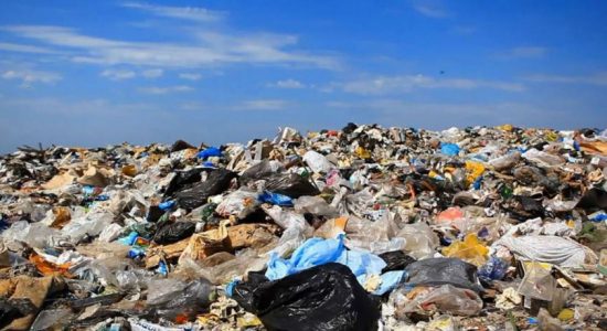 Signs of the garbage crisis prolonging