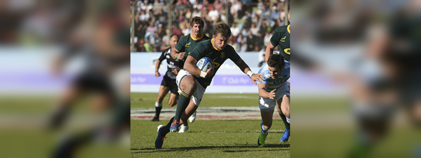 Springboks, Argentina ready for rugby battle