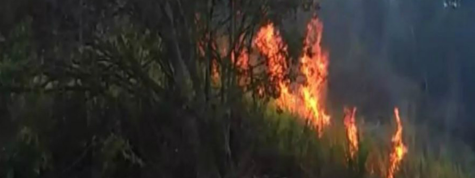 Fire erupts in Maragala mountain once again 