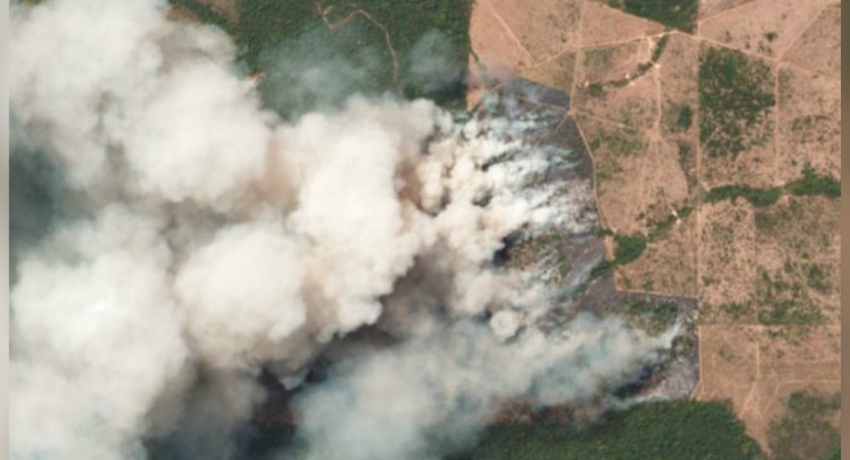 The Amazon is on fire – how bad is it?