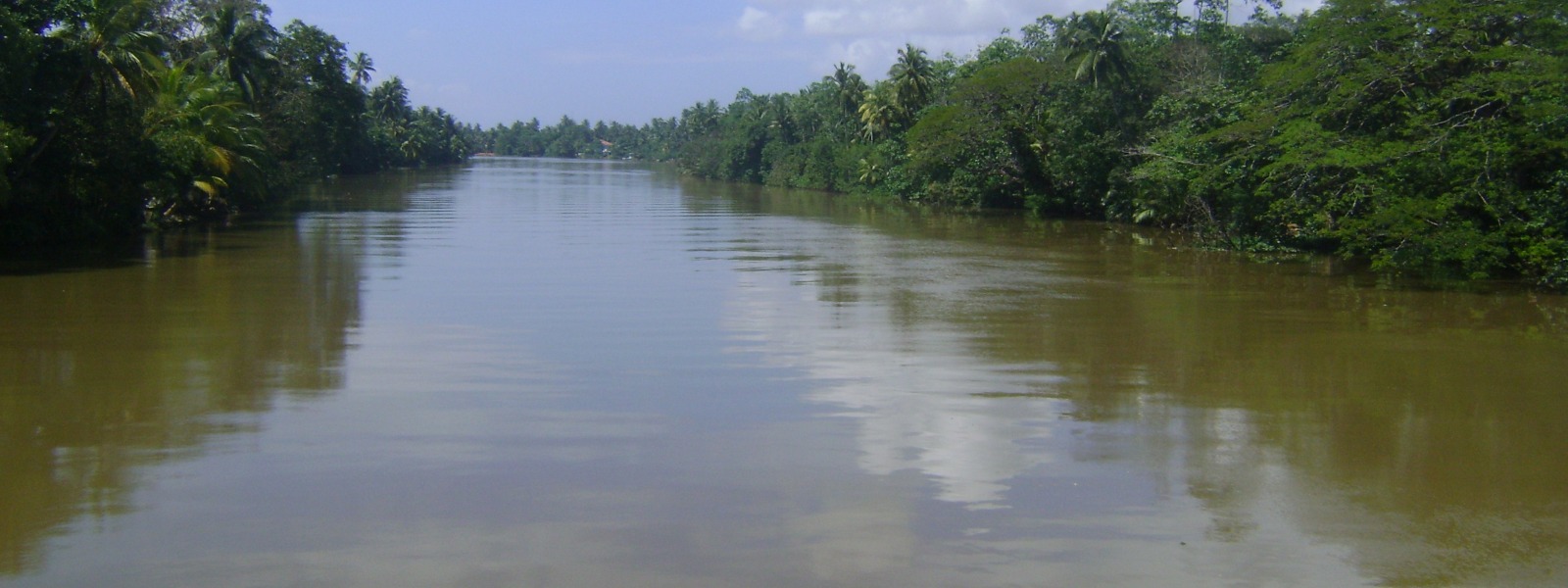 Water level of Mahaweli river reaches minor flood level