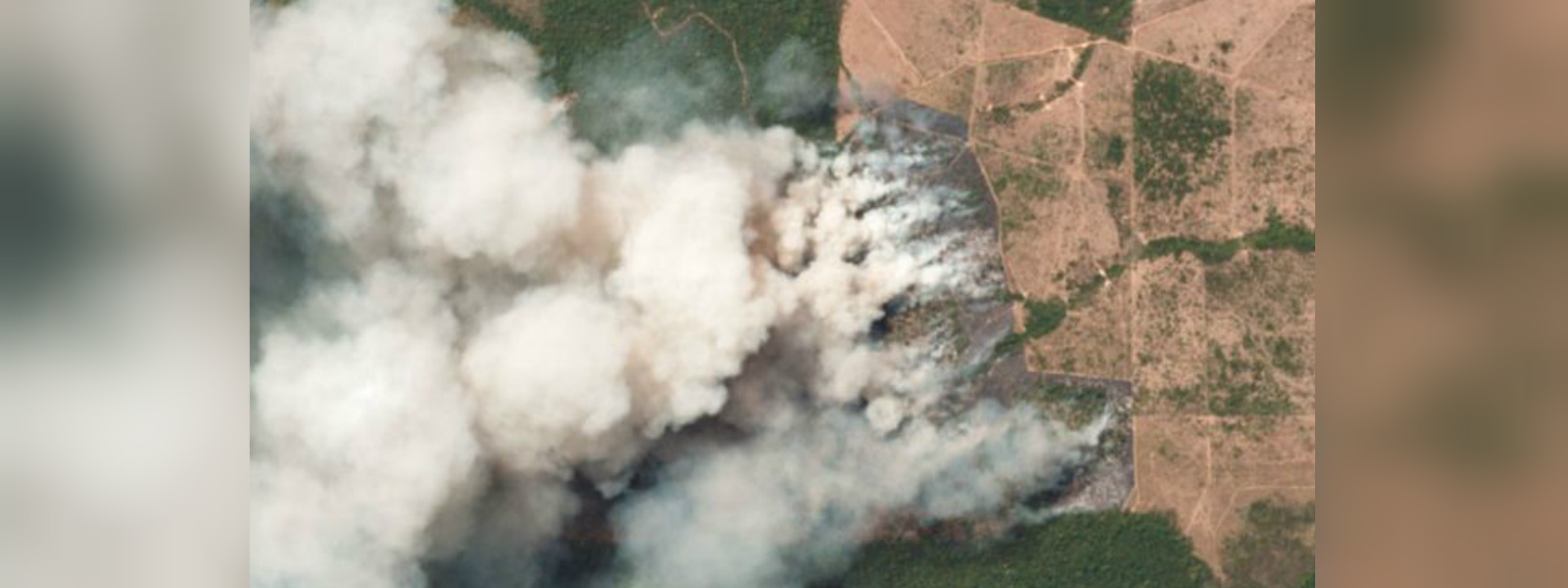 The Amazon is on fire - how bad is it?