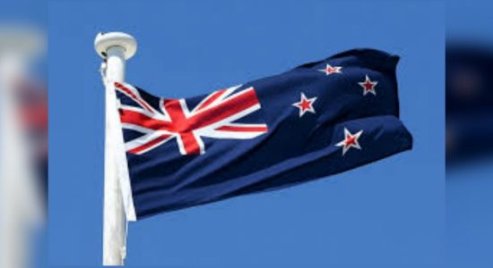 NZ's indigenous Maori protest over stolen children