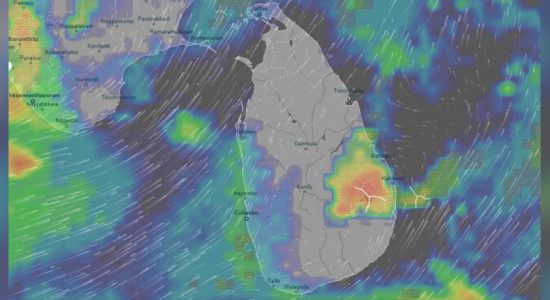 282 homes destroyed,over 48,000 affected 