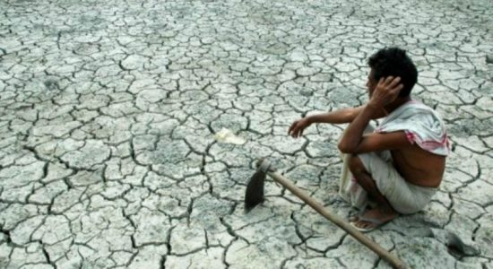 Dry weather haunts several areas in the island