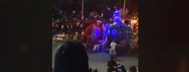 Two elephants become unruly during perahera : 17 injured in stampede