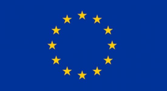 EU Election Observation Mission to begin monitoring