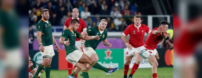 Springbok enters the RWC 2019 finale beating Wales