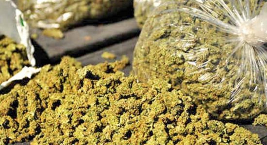 2 suspects including a police officer arrested with Kerala ganja