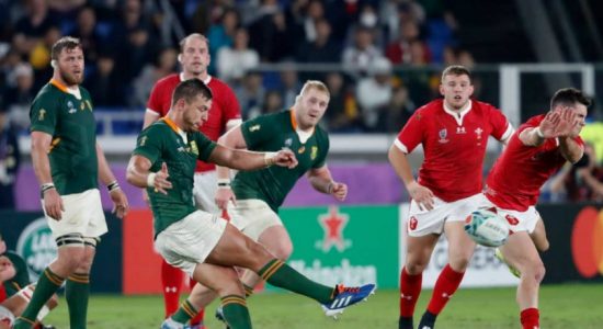 Springbok enters the RWC 2019 finale beating Wales