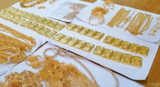 Gold worth Rs 39mn seized at BIA
