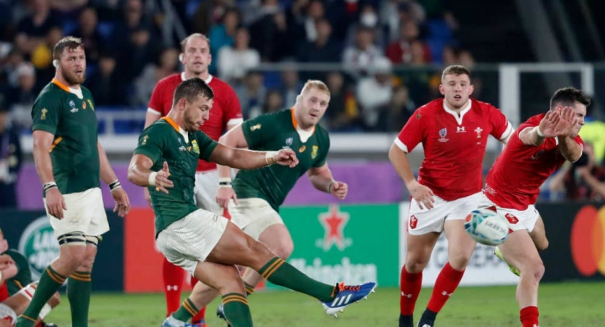 Springbok enters the RWC 2019 finale beating Wales 19-16