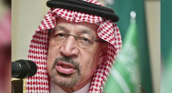 Saudi oil minister says country showed resilience