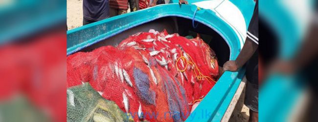 Navy apprehends 15 persons for engaging in illegal fishing activities