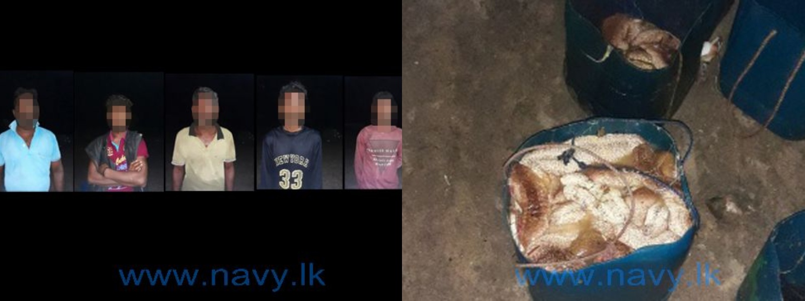5 arrested with illegally caught sea cucumbers