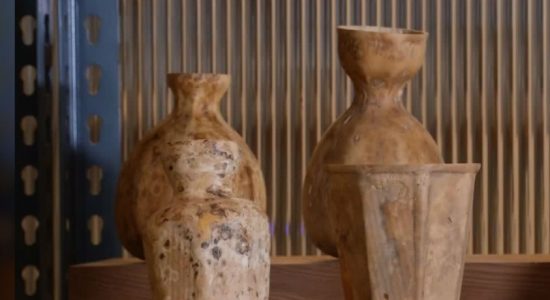 Sustainable coffee cups grown from vegetables