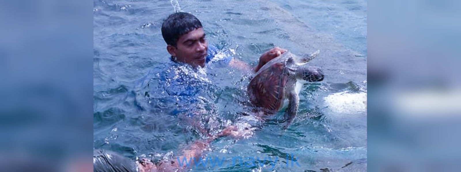 Navy rescues 32 sea turtles in Mannar