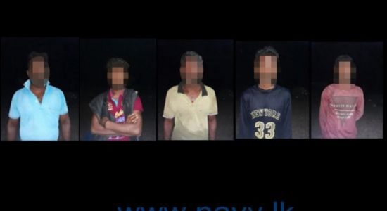 5 arrested with illegally caught sea cucumbers