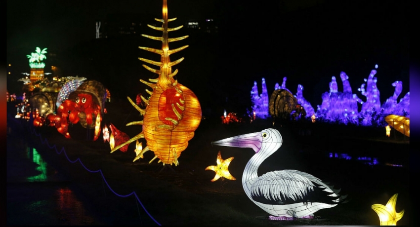 Under the sea: giant sea creature lanterns light up Paris