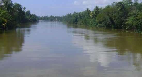 Kelani river water at risk of rapid contamination