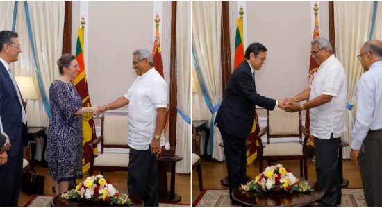 President meets US and Japanese Ambassadors