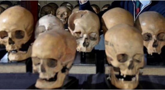 200 yr old human skulls make their way back to SL 
