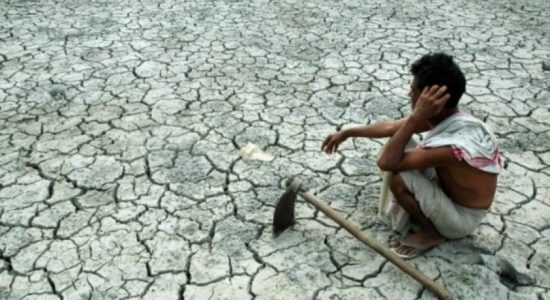 18,000 acres of paddy fields abandoned
