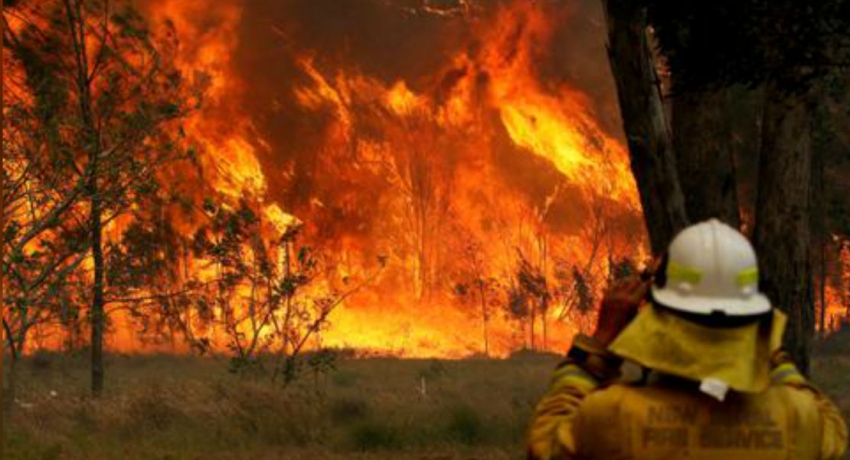 Thousands evacuate New South Wales south coast ahead of bushfire threat