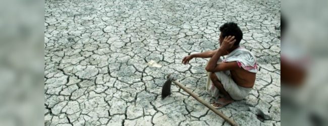18,000 acres of paddy fields abandoned
