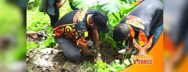 V-Force takes on project to plant 1000 trees along the Kalu ganga