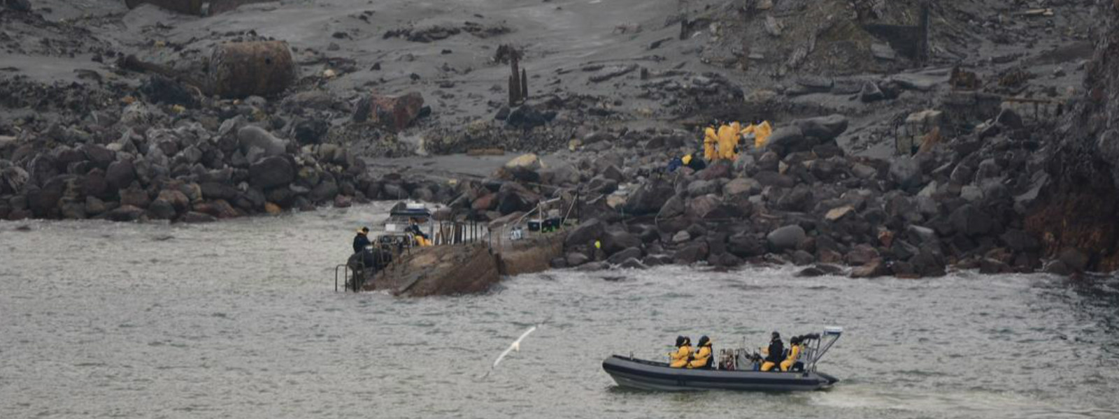 New Zealand to redeploy dive teams