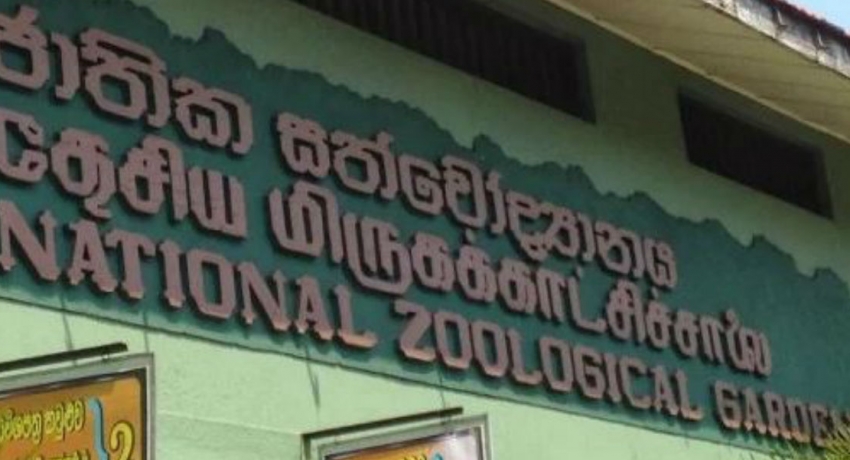 A hospital for zoo animals in Dehiwala
