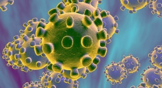 Coronavirus: What has GoSL done about it thus far?