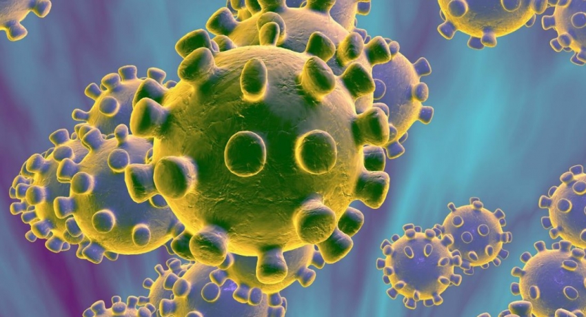 Negative result on Corona Virus tests